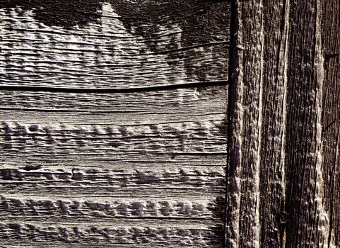 abstract background detail the structure of the old wood
