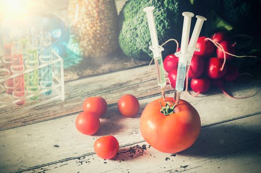 GMO genetically modified food concept on wooden background. Three syringes in tomato. 