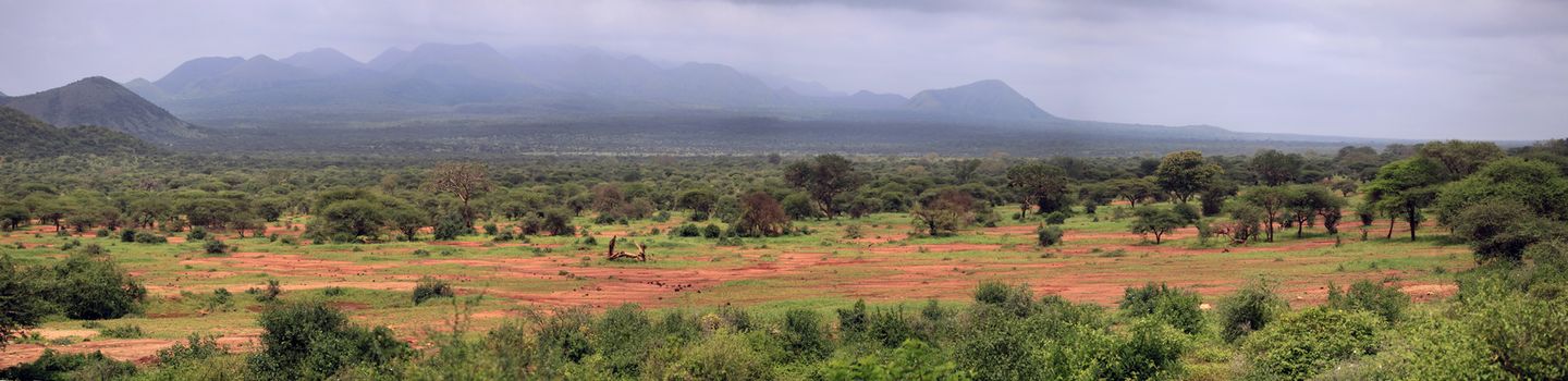Panorama of 8 frames Tsavo National Park in Kenya