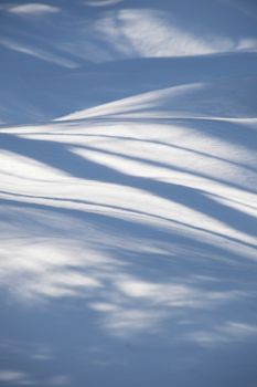 Abstract. Trees casting blue shadows in the fresh snow.  Image has blue undulating lines and shadows in the fresh snow in the foreground.