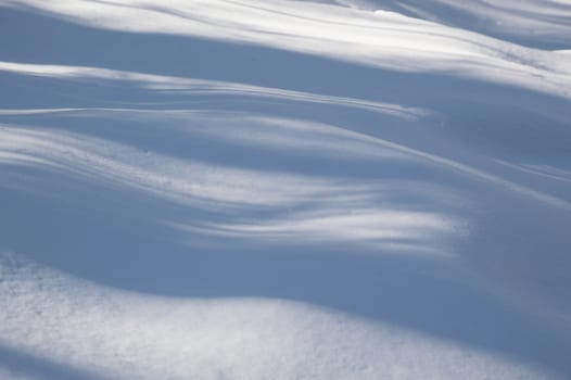 Abstract. Trees casting blue shadows in the fresh snow.  Image has blue undulating lines and shadows in the fresh snow in the foreground.