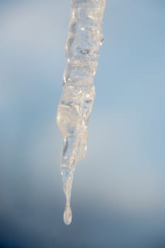 Closeup of a sparkling icicle against a blurred blue sky