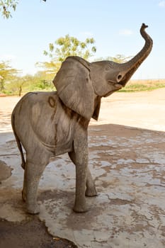 Wooden elephant at the entrance of a shop in Tsavo park in Kenya