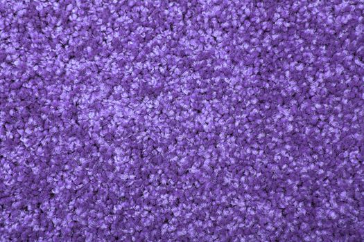 Macro shot of a carpeting texture background. Textile floor covering. Violet Knotted-pile carpet