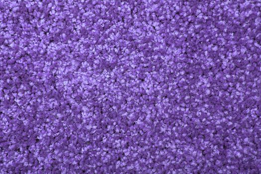 Macro shot of a carpeting texture background. Textile floor covering. Violet Knotted-pile carpet