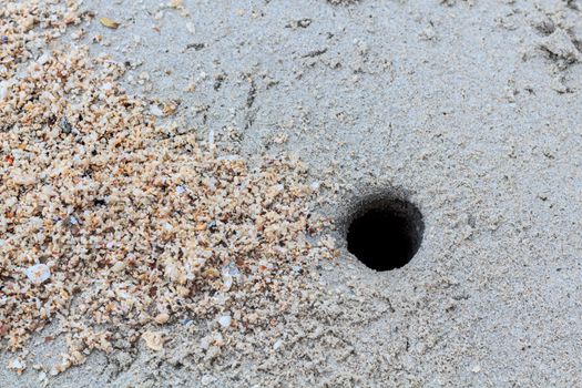 Crab hole on the Tropical Beach