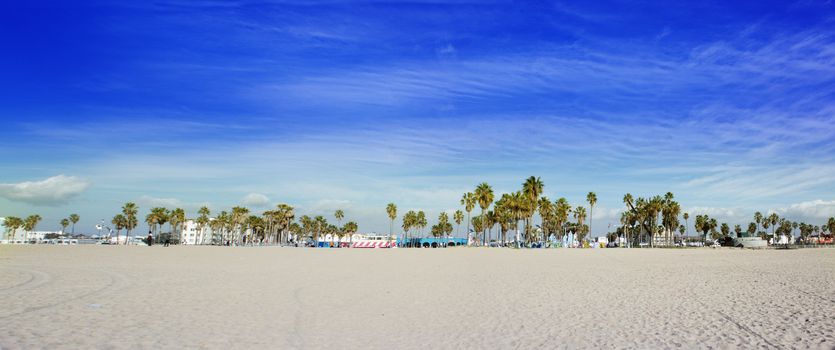 California Beach with palm trees