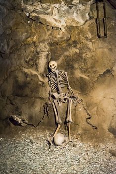 Skeleton in dungeon of Castle Grodno, Poland
