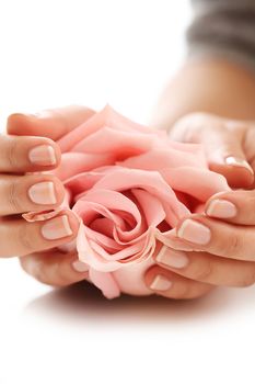 Skin care. Hands with pink rose head