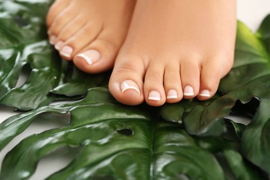 Skin care. Feet in close-up