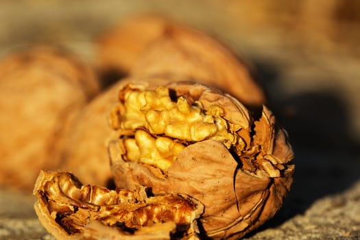 Close up of walnuts, full and broken. Pile of dried walnuts