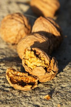 Close up of walnuts, full and broken. Pile of dried walnuts