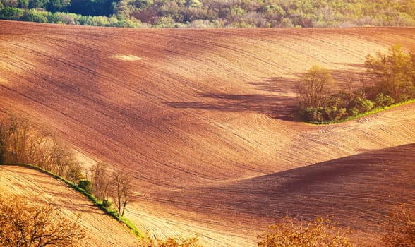 Abstract pattern texture of rolling wavy fields in spring. Spring tillage soil. Arable land on hills. Moravia, Czech Republic