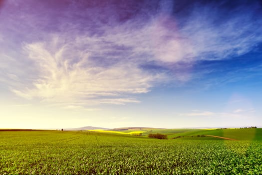 Sunny rural spring landscape. Green spring farmland on hills. Daylight clouds and sky. Green and yellow spring fields.