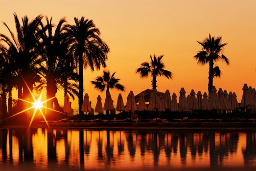 Sunset and palms, beach in resort