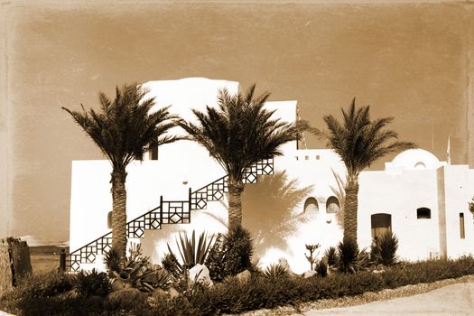 retro photo, on which image of three palm trees near white structure in Egypt