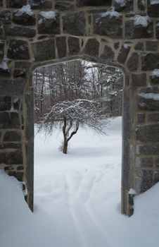 Gothic stone door way with an apple tree in the snow. Snowing