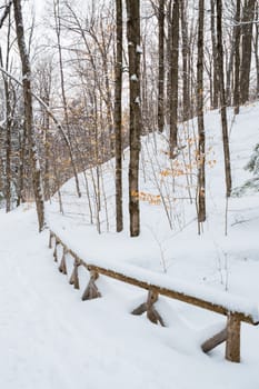 Ornamental wooden fence and deciduous trees in the snow