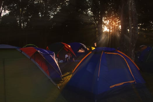 Camping vacation in the forest at sunset.