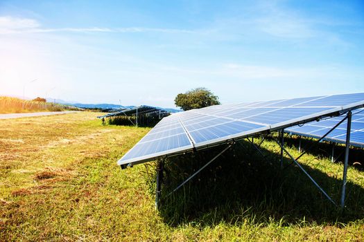 Solar panels on the lawn with the sun during a day.