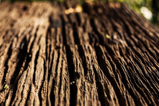 The surface of old wood plate.