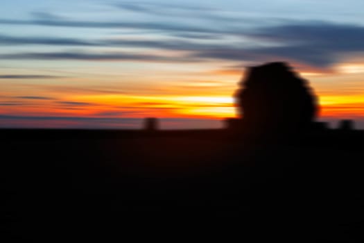 Silhouettes of trees and sky with blurred images.