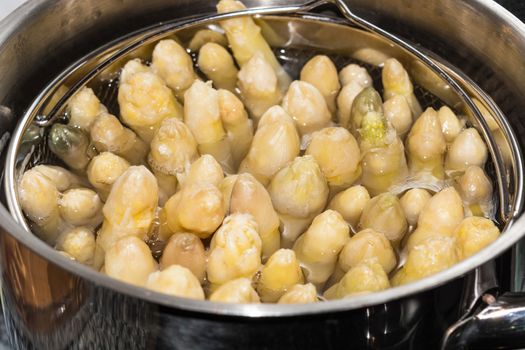 White asparagus in a special asparagus pot.