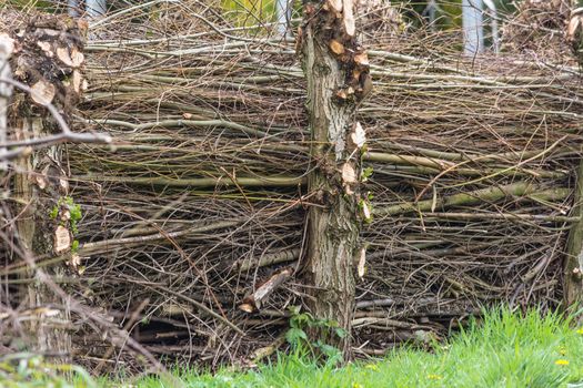 Homemade Screening fence from Material wicker.