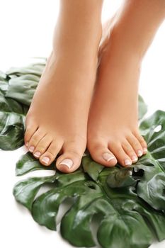 Skin care. Feet in close-up