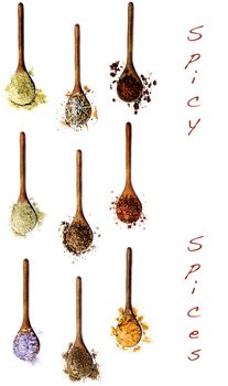 Collection of Various Spices with Inscription in Wooden Spoons: Zira, Salt with Petals, Dried Paprika, Cumin Powder, Salt with Chili, Salt with Cayenne Pepper, Salt with Cayenne Pepper, Kosher Salt, Thyme and Curry Powder