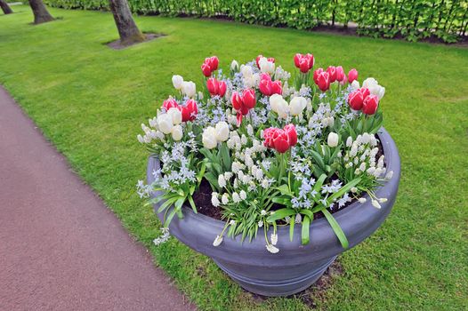Spring flowers in big vase in park