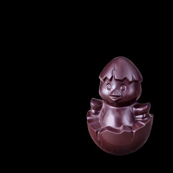 Chocolate Easter chick in a shell isolated on a black background.