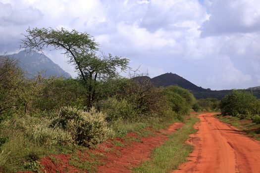 Park Tsavo East National - salah satu yang tertua dan taman negara terbesar di Kenya