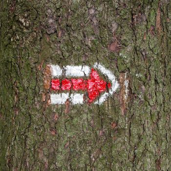 Red and white hiking arrow sign on tree trunk bark wood, typical for czech tourism, providing guidence, touristic navigation or directions, simple