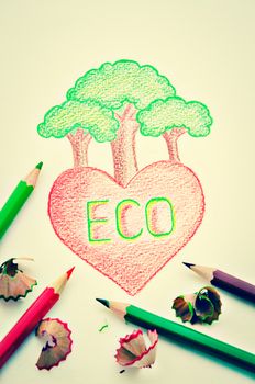 Wooden color pencil drawing Eco heart on white paper. Eco heart concept.