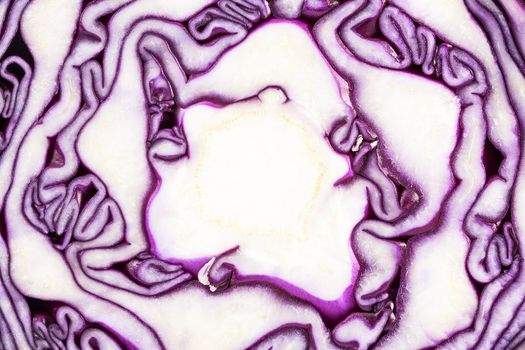 Background of cut red cabbage, abstraction.
