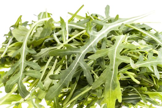 Heap of leaves of arugula on awhite background, close up .