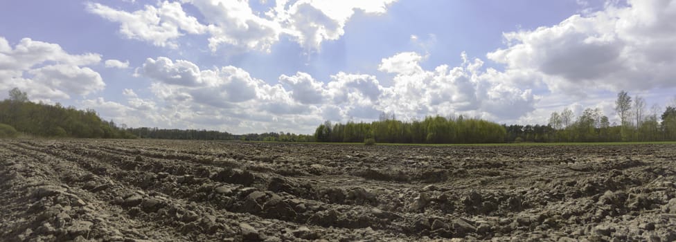 agricultural field, nature and agriculture farming series