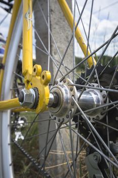 color bike, small parts of bike in sunny day