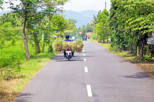 Driving in the countryside from Java in Indonesia transporting grass on the motorcycle
