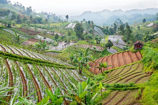 Scene in the mountains on East Java, Indonesia