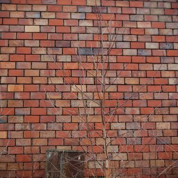 wide angle view of an old wall abandoned factory building