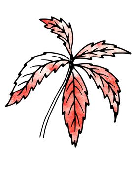 Red Plant leaves. Hand drawing and computer processing. For design - the nature, the sights, medicinal plants, gardens, landscape design