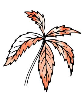 Beige Plant leaves. Hand drawing and computer processing. For design - the nature, the sights, medicinal plants, gardens, landscape design