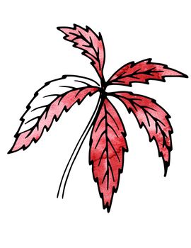 Red Plant leaves. Hand drawing and computer processing. For design - the nature, the sights, medicinal plants, gardens, landscape design