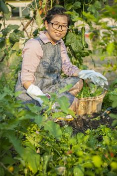 asian woman planting organic vegetable in home garden