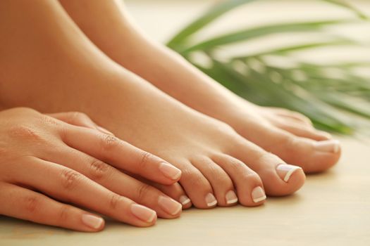 Skin care. Feet in close-up