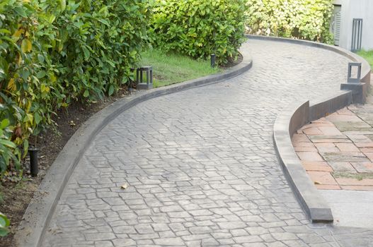 Garden walk way with plant on left side and red brick on right side.