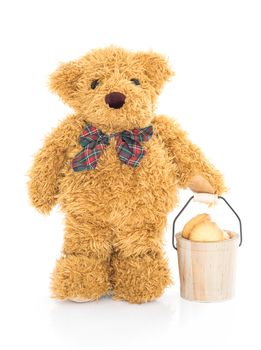 Teddy bear holding cookie bucket on white background