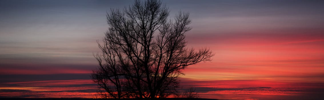 Panoramic picture. view from the window. Panoramic photo of sky at sunset